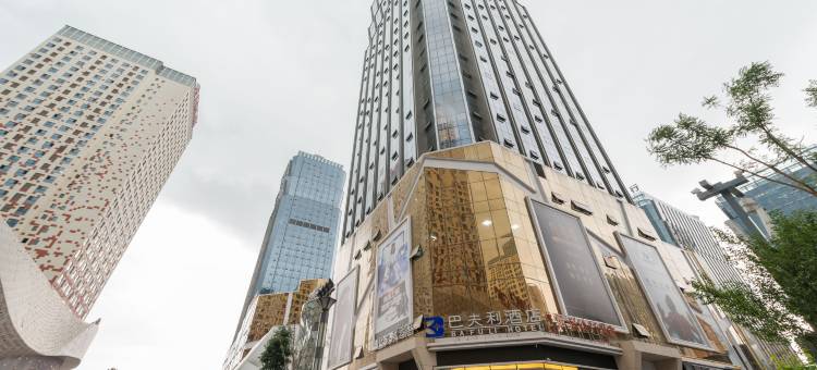 西宁巴夫利酒店图片