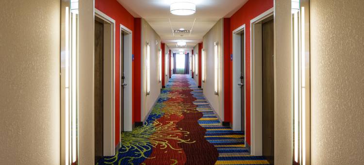 智选假日套房酒店厄尔尼诺里诺(Holiday Inn Express & Suites EL RENO by IHG)图片