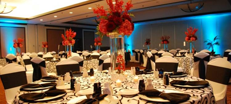 迈阿密西机场区假日酒店(Holiday Inn Miami West - Airport Area)图片