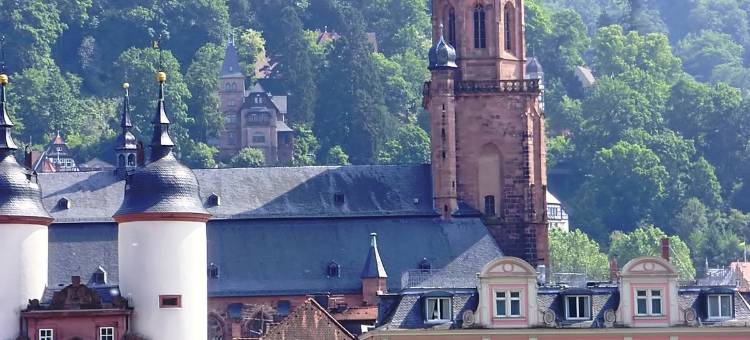 海德堡城市伙伴酒店(City Partner Hotel Holländer Hof)图片