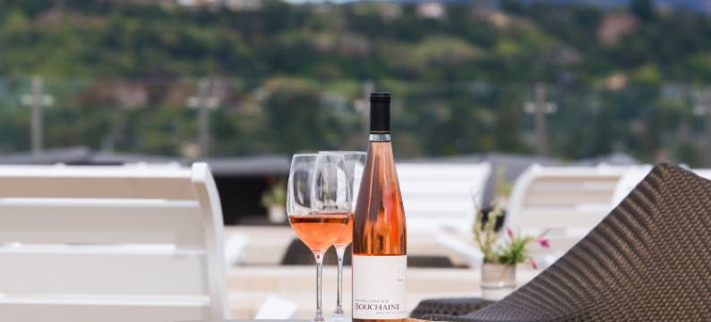 纳帕弓箭酒店(Archer Hotel Napa)图片