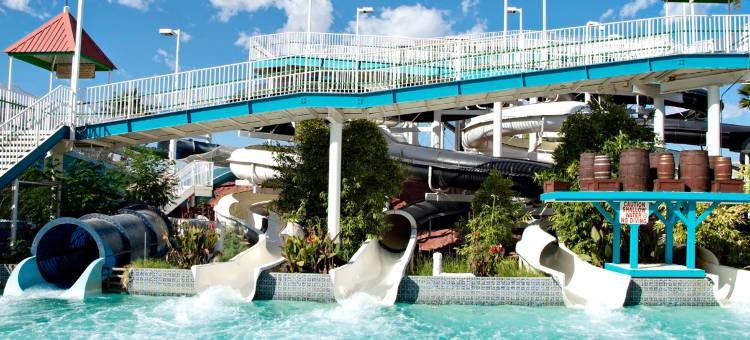 凤凰城迈措沃市德尔塔酒店(Delta Hotels Phoenix Mesa)图片