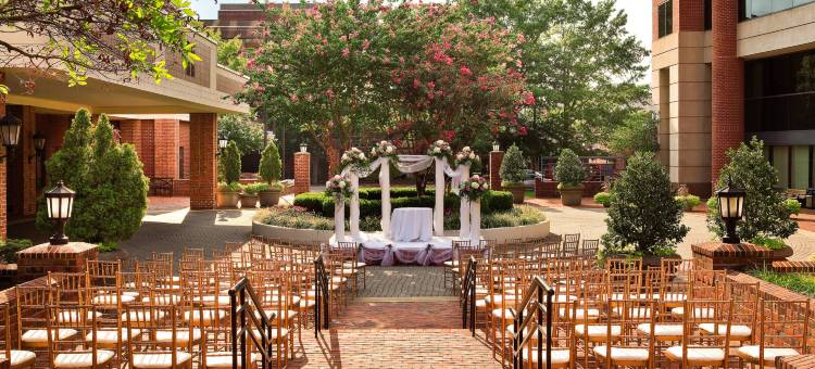 亚历山德里亚古城喜来登套房酒店(Sheraton Suites Old Town Alexandria)图片