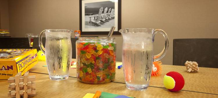 明尼阿波利斯万豪酒店及会议中心(Minneapolis Marriott Hotel & Conference Center)图片