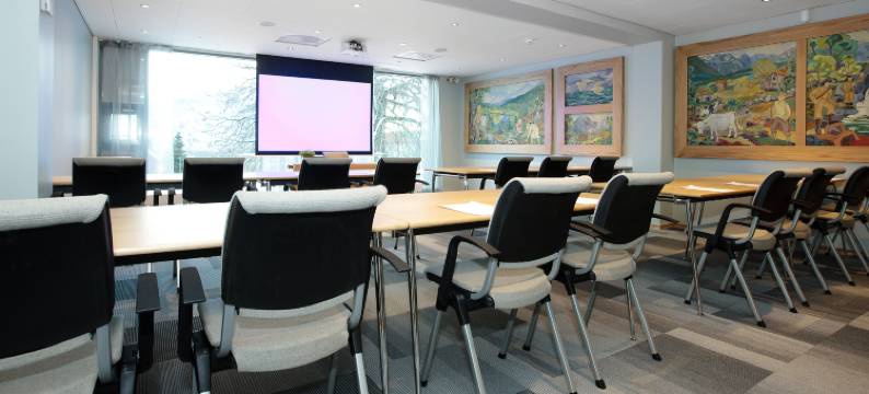 托恩华索格酒店(Frich´s Hotel Surnadal)图片