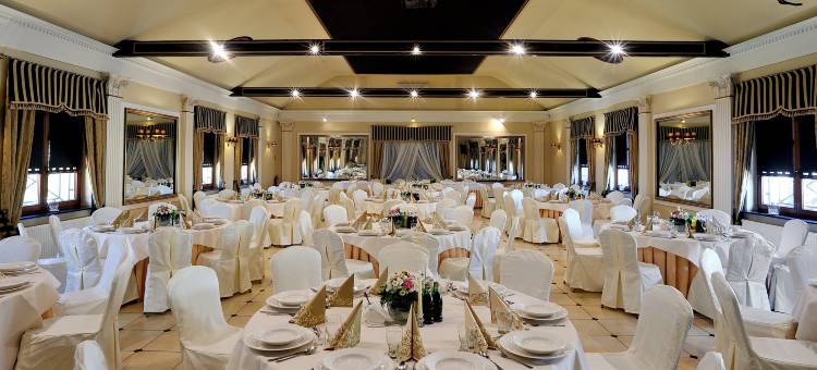 希隆斯克地区谢米亚诺维采瓦坎扎钻石酒店(Hotel Diament Vacanza Katowice - Siemianowice)图片