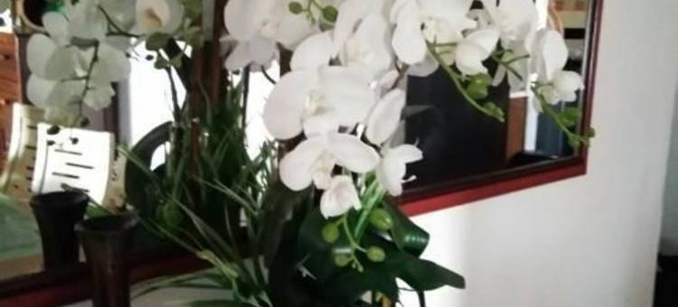 艾妮旅馆亚曼尼景观公寓式客房酒店(Aini's Guest House in Vista Amani Condo)图片