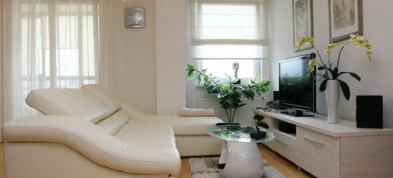 帕内韦日斯公寓(Apartments Panevezys)图片