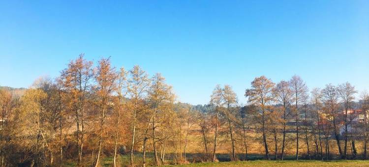 卡萨波克度假屋(Casa do Boco)图片