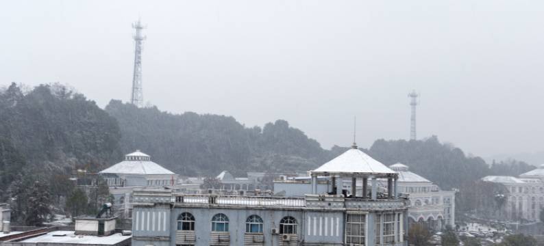 萍乡天利园国际大酒店图片