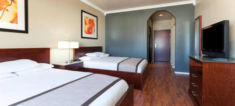 孤星旅馆及套房(Lone Star Inn & Suites)图片