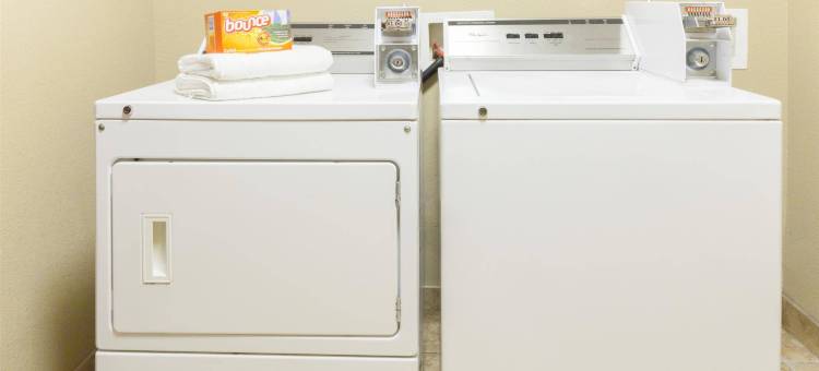 孤星旅馆及套房(Lone Star Inn & Suites)图片