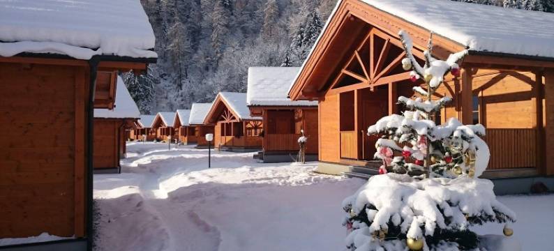 菲林多夫澳博雷酒店(Chaletdorf ZellerSee)图片