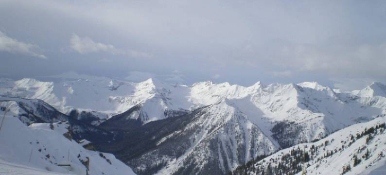 贝斯坎普黄金郊外小屋(Basecamp Lodge Golden)图片