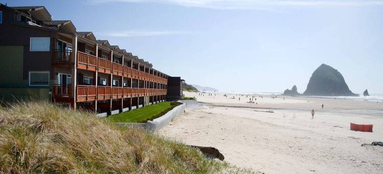 瑟夫杉度假村(Surfsand Resort)图片