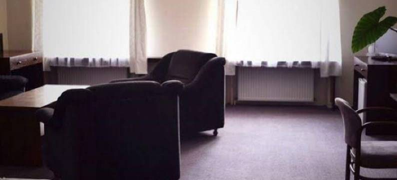 塞勒林酒店(Hotel Celerin)图片