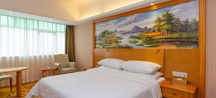 维也纳酒店(大亚湾新寮店)图片