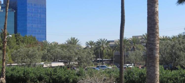 凤凰城机场-市区豪生酒店(Howard Johnson by Wyndham Phoenix Airport/Downtown Area)图片