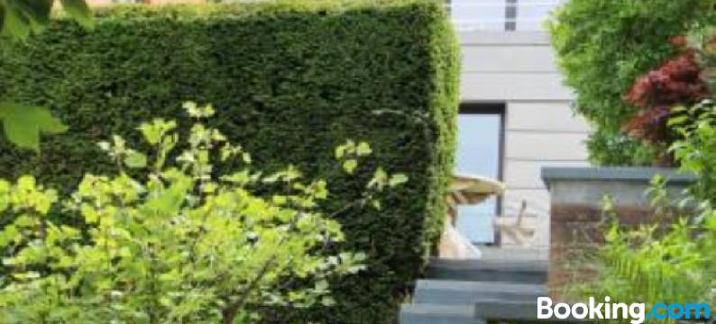 Chambre d'hôtes CitaBel'Air图片