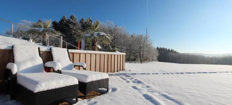 迪尔贝格会议和健康酒店(Hotel Diehlberg)图片