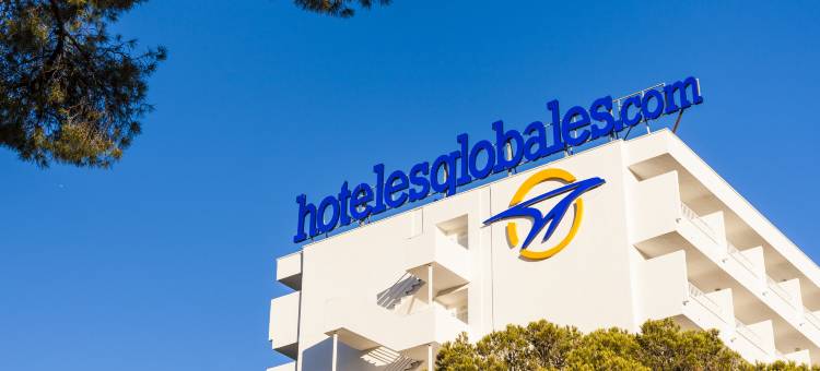 Globales Mimosa图片