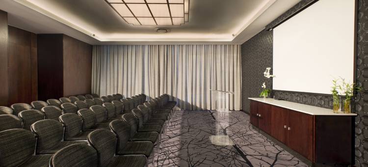 纳尔逊曼德拉广场达芬奇套房酒店(Davinci Hotel on Nelson Mandela Square)图片