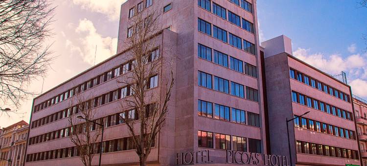 VIP行政皮卡奥斯酒店(VIP Executive Picoas Hotel)图片