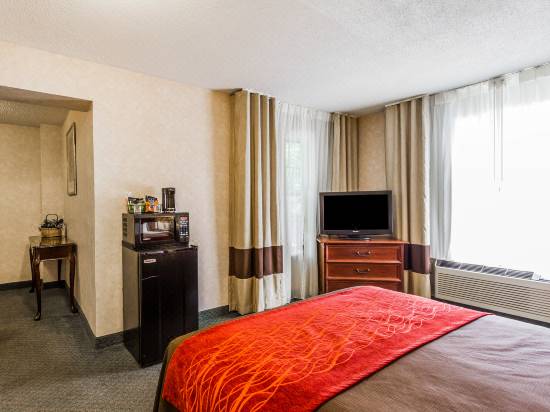Comfort Inn Airport Hotel Reviews And Room Rates Trip Com