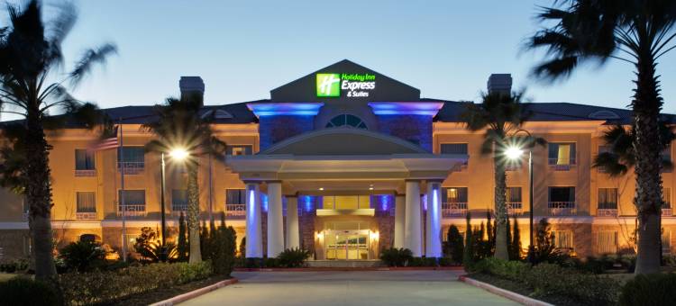 智选假日套房酒店皮尔兰(Holiday Inn Express & Suites Pearland)图片