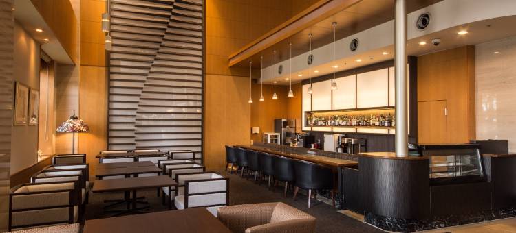 ANA Crowne Plaza 米子全日空皇冠假日酒店(ANA Crowne Plaza Yonago)图片
