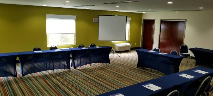 智选假日套房酒店梅宾(Holiday Inn Express & Suites Mebane)图片