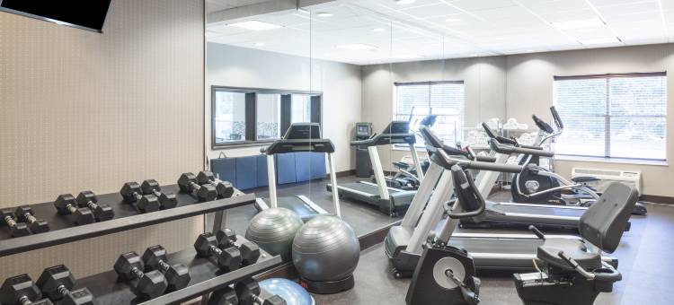 亚特兰大东北德卢斯智选假日套房酒店(Holiday Inn Express & Suites Atlanta NE - Duluth)图片