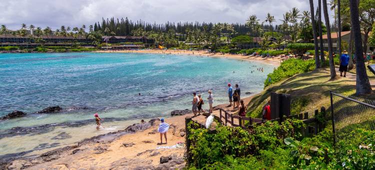 奥瑞格茂宜岛娜彼里海岸公寓酒店(Napili Shores Maui by Outrigger)图片