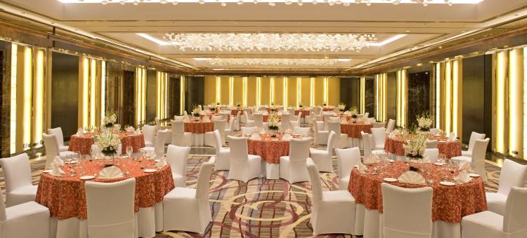 德里机场丽笙世嘉酒店(Radisson Blu Plaza Delhi)图片