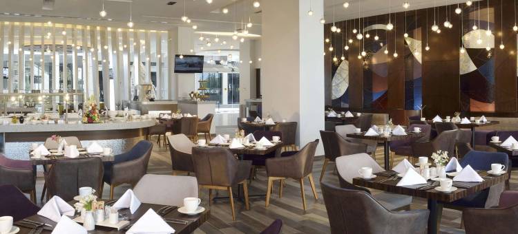 HS 霍特森锡劳酒店(HS Hotsson Hotel Silao)图片