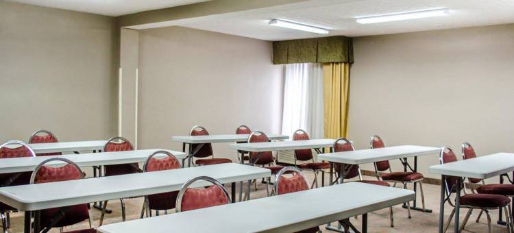 麦地那阿克伦西凯艺套房酒店(Quality Inn & Suites Medina - Akron West)图片