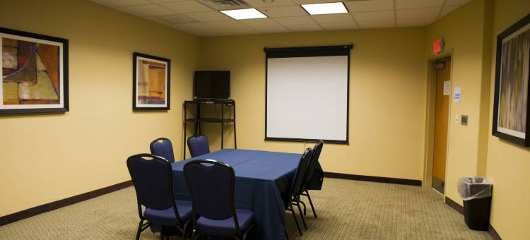 亚特兰大东 - 利松尼亚智选假日酒店及套房(Holiday Inn Express & Suites Atlanta East - Lithonia)图片