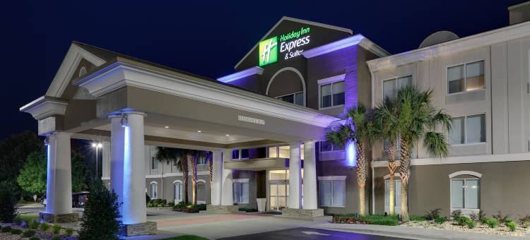 智选假日套房酒店都柏林(Holiday Inn Express & Suites Dublin)图片