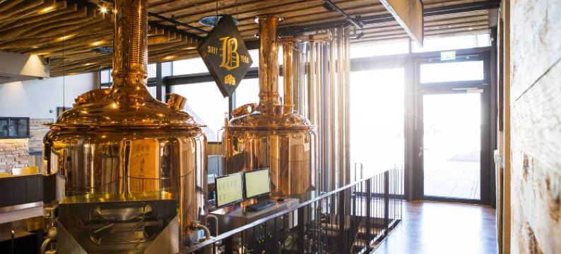 普富伦多夫里库酒店(RiKu Hotel Pfullendorf)图片