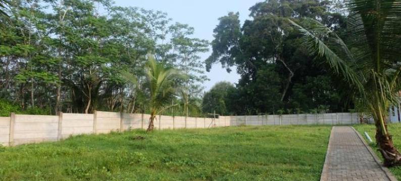 斯瓦纳天堂宾馆(Sawarna Paradiso)图片