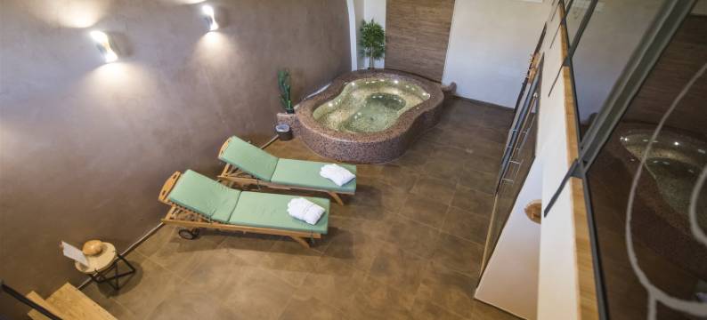 动力养生生态度假村(Momentum Wellness Bioresort)图片