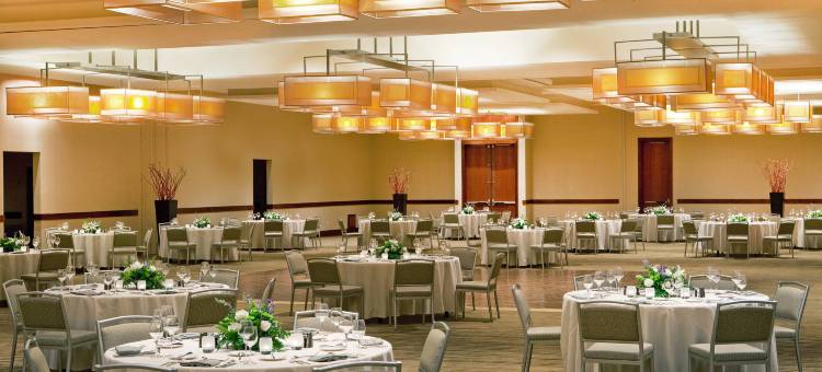 华盛顿杜勒斯国际机场威斯汀酒店(The Westin Washington Dulles Airport)图片