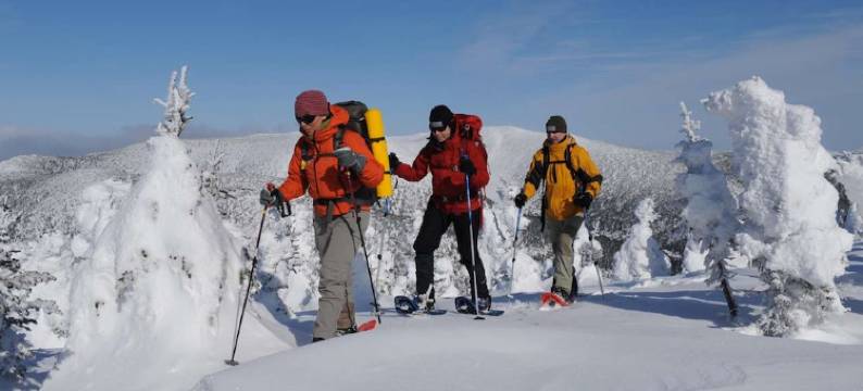 欧克尔乡村酒店(Au Coeur du Village)图片