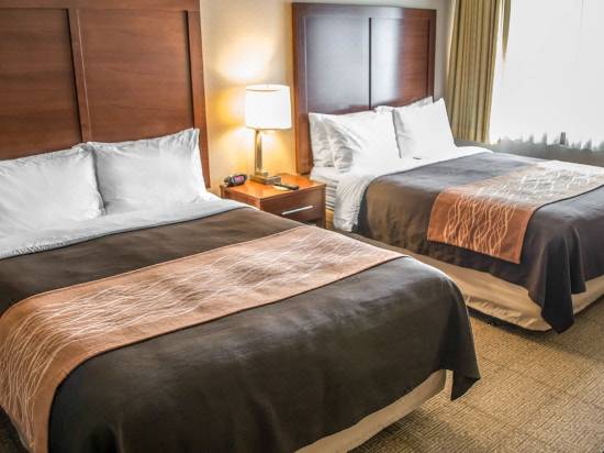 Comfort Inn Suites Beaverton Portland West Hotel Reviews And