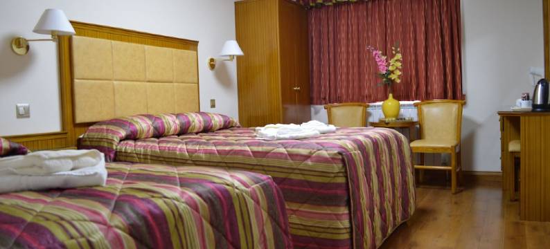 雷格曼宫酒店(Leigham Court Hotel)图片