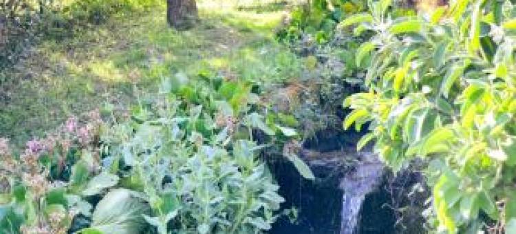 Le Domaine du Fayet图片