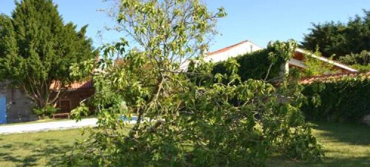 La Maison de Thiré图片