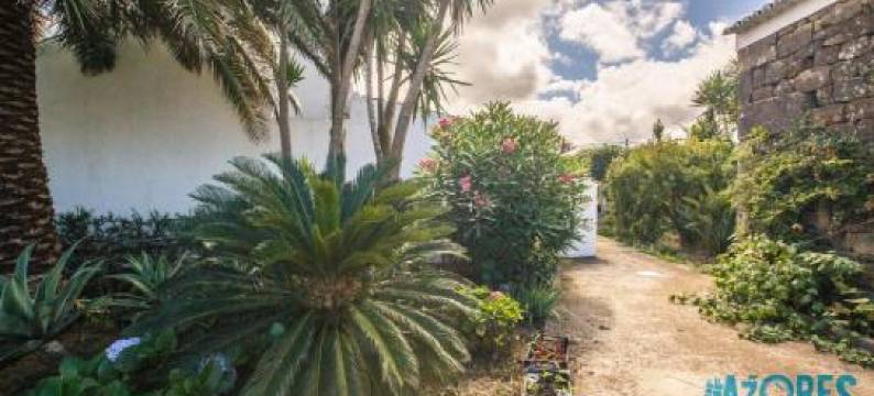 Hospedaria Casa d'Avo图片