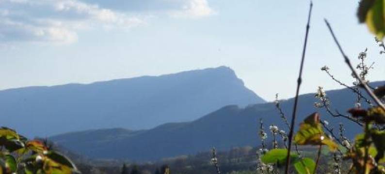 巢穴湖度假屋(Le Gîte de l'Antre Lacs)图片