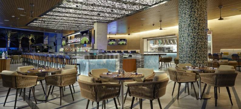 塞米诺尔硬石酒店及坦帕(Seminole Hard Rock Hotel and Casino Tampa)图片